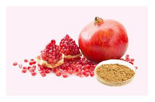 Granatapfel Extrakt-neue Wahl zur Senkung der Blutfettwerte