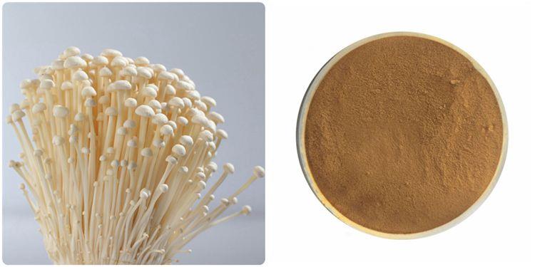 Enoki Mushroom