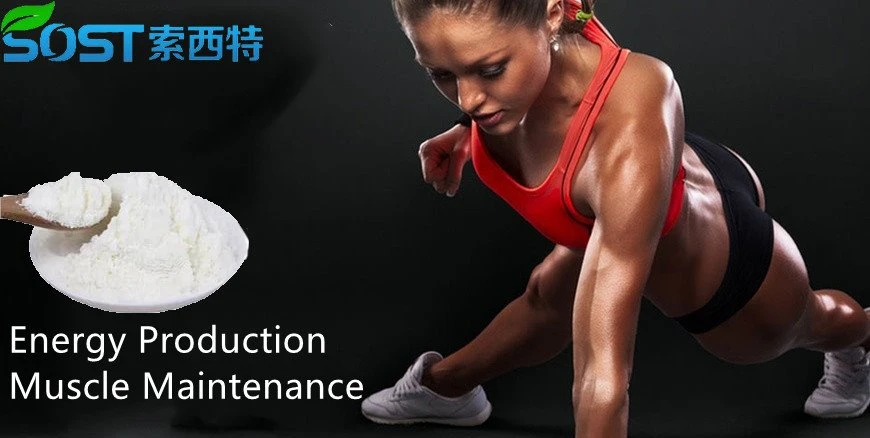 Leucine Powder