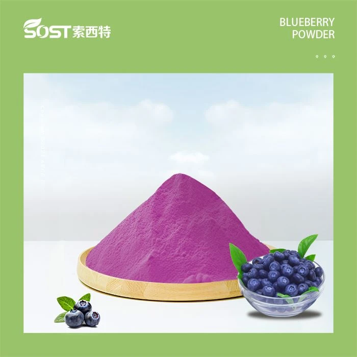 Blaubeerpulver