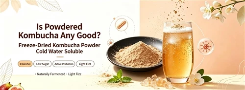 Ist pulverisiertes Kombucha gut?