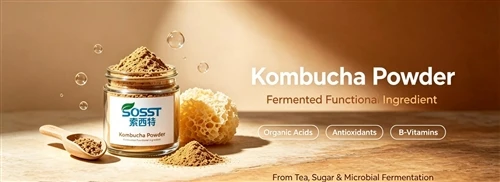 Was bewirkt Kombucha-Pulver?