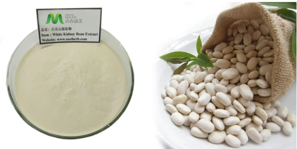 White Kidney Bean Extract factory White Kidney Bean Extract factory