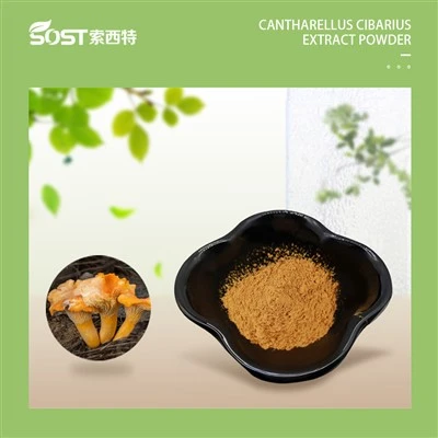 Cantharellus cibarius Extraktpulver
