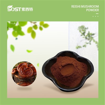 Bio-Pulver aus roten Reishi-Pilzen