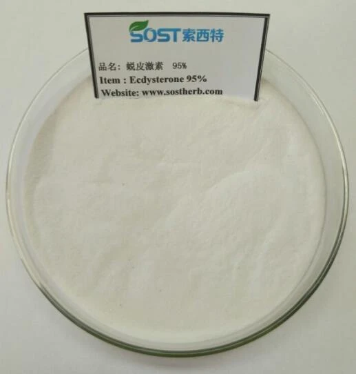 Beta-Ecdysteron