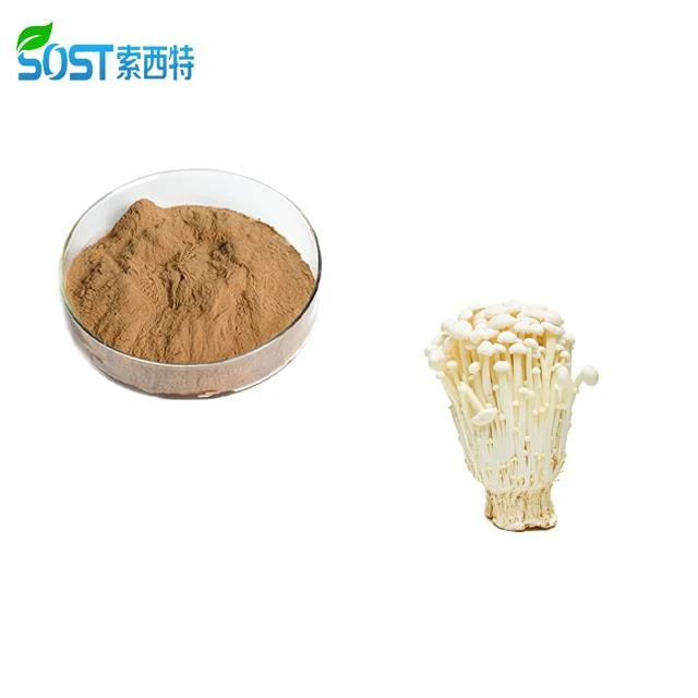 Enoki Mushroom Powder