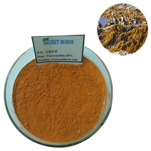 Fucoxanthin powder
