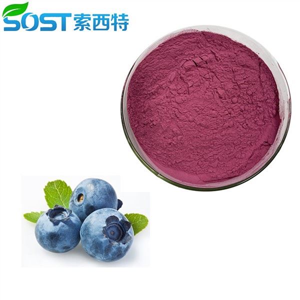 Blueberry Powder