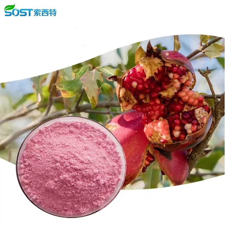 Freeze Dried Pomegranate Juice Powder