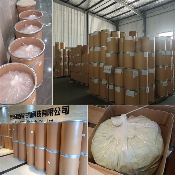 Pueraria Lobata Root Extract best