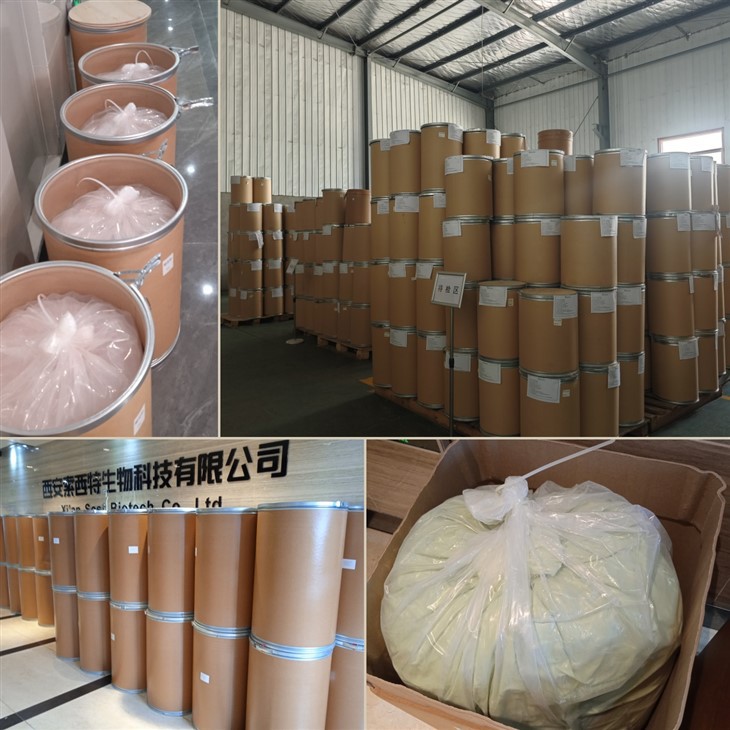 Rosemary Leaf Extract Powder factory
